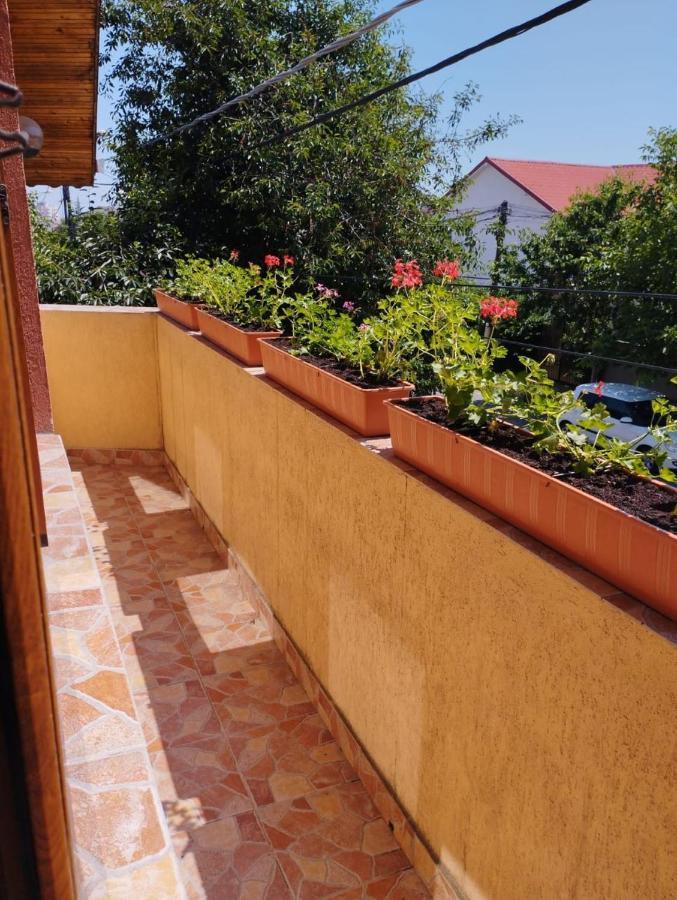 Vila Florelena Navodari Bagian luar foto